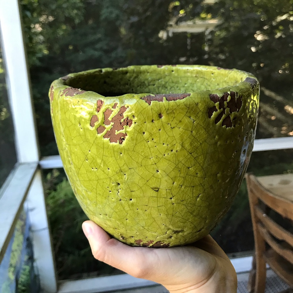 Anthro flower pot 🌻